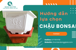 Bạn đã biết cách chọn chậu bonsai phù hợp với cây cảnh của mình chưa?