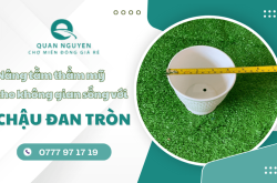 Nâng tầm thẩm mỹ cho không gian sống với chậu đan tròn