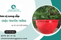 Đơn vị cung cấp chậu truyền thống uy tín và chất lượng