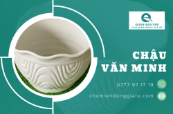 Chậu Văn Minh - Sản phẩm HOT được yêu thích nhất tại Quan Nguyen