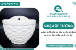 Làm mới không gian sống bằng chậu ốp tường đa năng và đẹp mắt