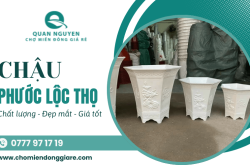Mang tài lộc vào nhà với chậu Phước Lộc Thọ sang trọng của Quan Nguyen