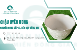 Quan Nguyen chuyên cung cấp chậu Uyên Ương sỉ, bền đẹp Đồng Nai