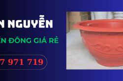 Tìm hiểu các ưu điểm và ứng dụng của chậu nhựa truyền thống hiện nay