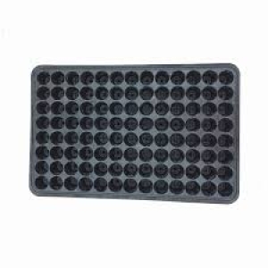 Vỹ 104 lỗ