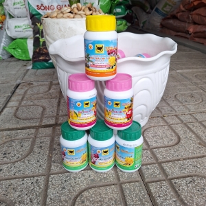 Phân bón đầu châu