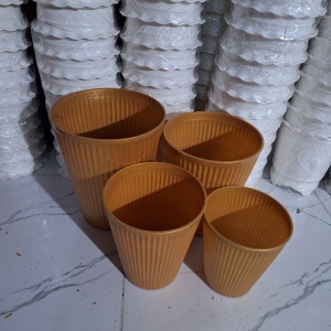 Chậu Sọc vàng