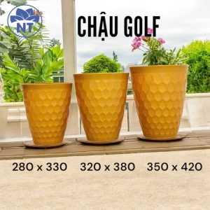 Chậu GOLF