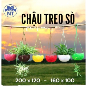 Chậu Treo Sò