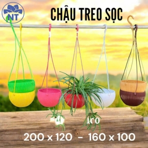 Chậu Treo Sọc