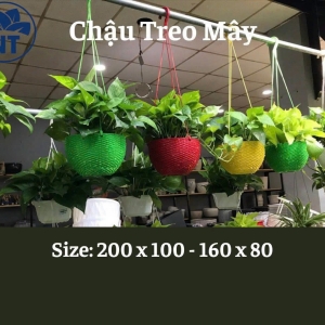 Chậu Treo Mây