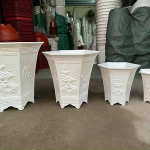Chậu Lục Gíac Bông 