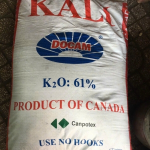 Phân KALI Bao 50Kg = 680k