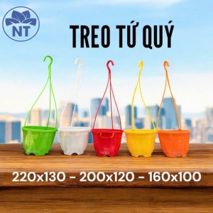 Chậu Treo Tứ Quý