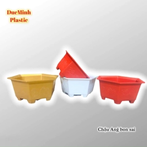 Chậu Bon Sai
