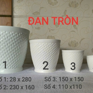 Chậu Đan Tròn