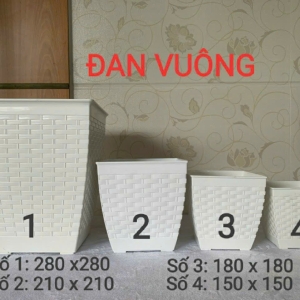 Chậu Đan Vuông