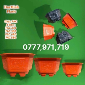 Chậu FAC