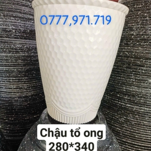 Chậu Tổ Ong