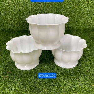 Chậu Trái Bí