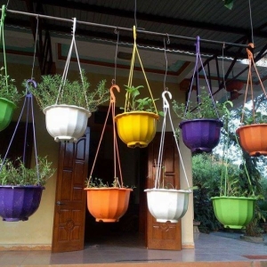 Chậu Treo Bí 