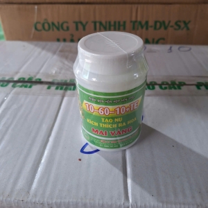 Hủ 10 60 10 Tạo Nụ kich thích ra hoa Mai Vàng