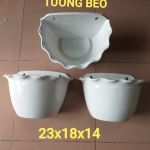 Chậu Ốp Tường Bèo