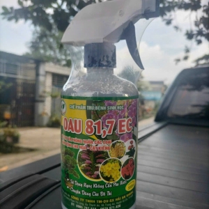 Thuốc trị Bệnh Chai Xịt