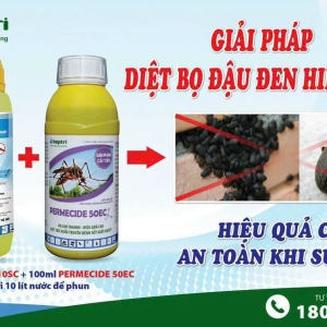  DIỆT BỌ ĐẬU ĐEN 