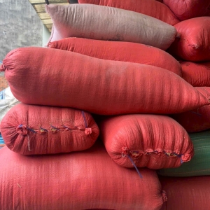 SƠ DỪA BAO