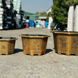 CHẬU ĐỒNG BG