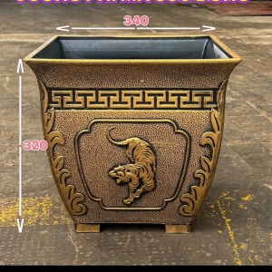 VUÔNG PHI MÃ ĐỒNG 500