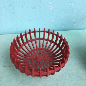 chậu lan Trái BÍ Fi 23cm