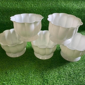 CHẬU TRÁI BÍ 01