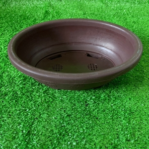 CHẬU BONSAI 250