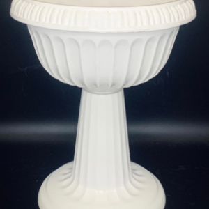 Chậu Ly Chân Đế Nhỏ Trung