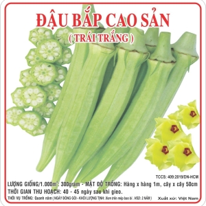 Đậu Bắp Cao sản