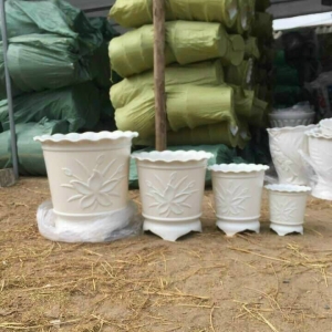 Chậu Ba Chân