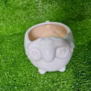 Chạu Hình Con Cừu