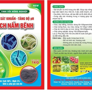 Tinh Voi