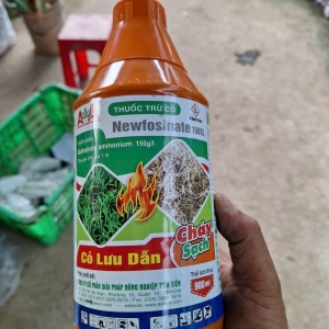 Diệt Cỏ Lưu Dẫn AA