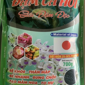 PHÂN ĐẠM CÁ HỒI