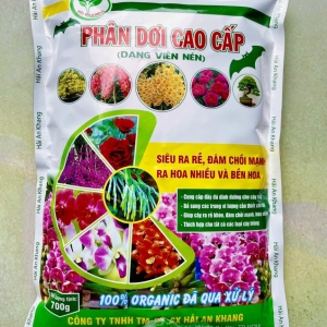 PHÂN DƠI CAO CẤP