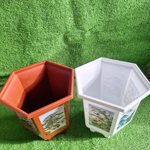 Lục Giác IN HD