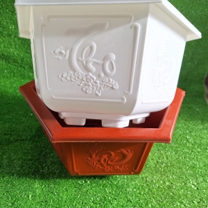 Chậu Bon Sai