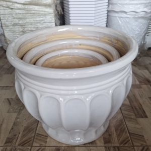 Chậu Bí