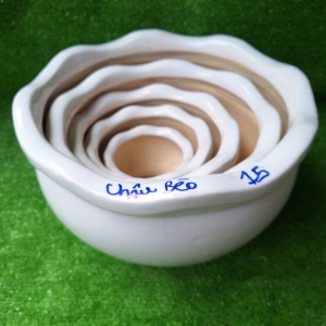 Chậu Bèo Bộ 5