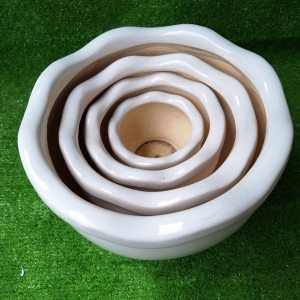 Chậu Sứ Bèo BỘ 4