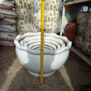 Chậu Sứ Bèo Bộ 7 Cái