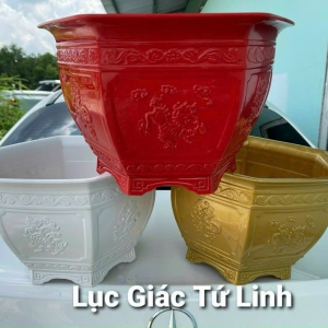 Chậu Tứ Linh